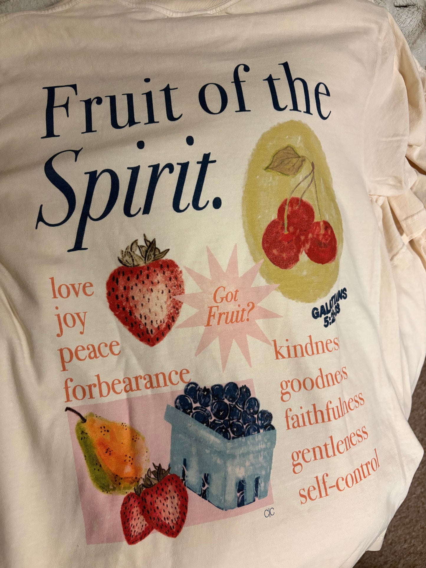 Fruit of the Spirit Graphic Tee